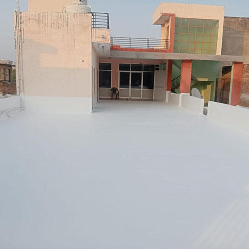 Sanvariya Painting Contractor