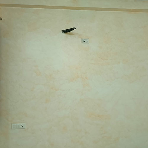 Sanvariya Painting Contractor